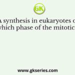DNA synthesis in eukaryotes occurs during which phase of the mitotic cell cycle?