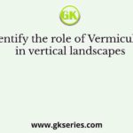 Identify the role of Vermiculate in vertical landscapes