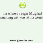 In whose reign Mughal painting art was at its zenith?