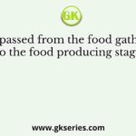 Man passed from the food gathering stage to the food producing stage in the