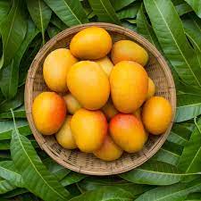 National Mango Day 2023: Date, Significance and History
