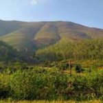 Odisha announces state forest rights scheme