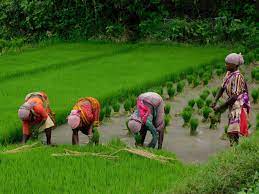 PM Modi launches Urea Gold for farmers