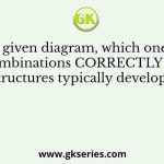 In the given diagram, which one of the combinations CORRECTLY lists structures typically developed