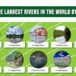 Longest Rivers in the World 2023, Top 10 Rivers List