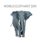 World Elephant Day 2023: Date, Significance and History