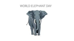 World Elephant Day 2023: Date, Significance and History