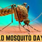 World Mosquito Day 2023: 20 August