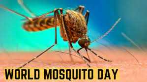 World Mosquito Day 2023: 20 August