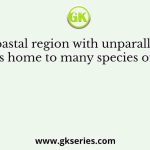 A coastal region with unparalleled beauty is home to many species of animals