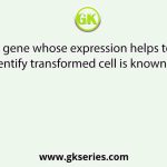 A gene whose expression helps to identify transformed cell is known as