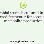 A microbial strain is cultured in a 100 L stirred fermenter for secondary metabolite production