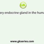 A temporary endocrine gland in the human body is
