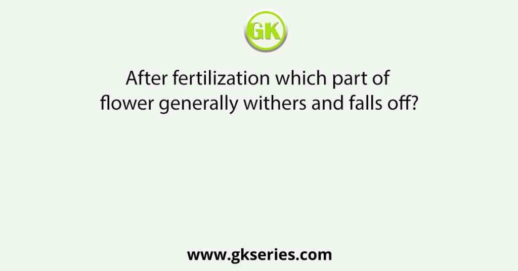After fertilization which part of flower generally withers and falls off?