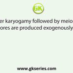After karyogamy followed by meiosis, spores are produced exogenously in