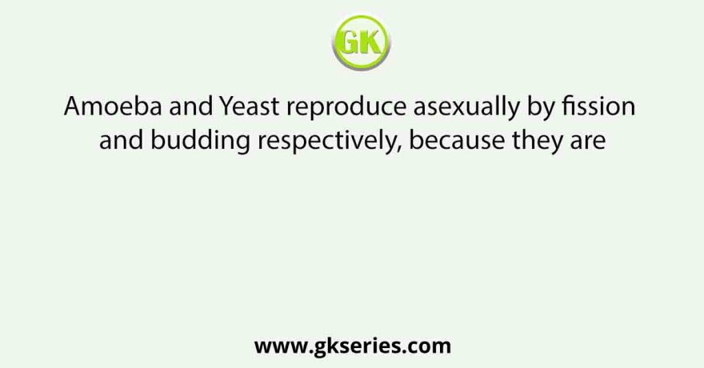 Amoeba and Yeast reproduce asexually by fission and budding respectively, because they are