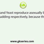 Amoeba and Yeast reproduce asexually by fission and budding respectively, because they are