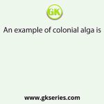 An example of colonial alga is