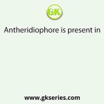 Antheridiophore is present in