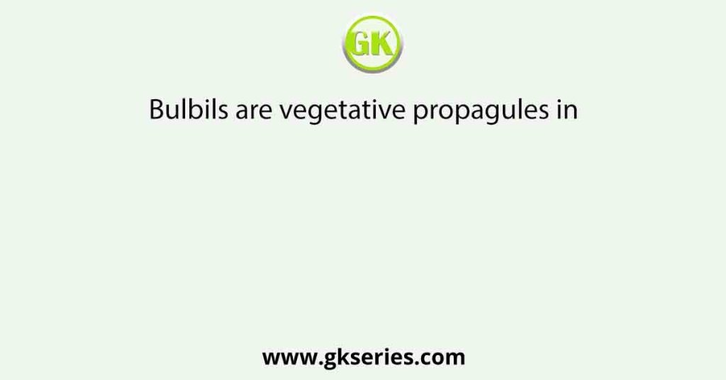 Bulbils are vegetative propagules in