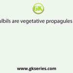 Bulbils are vegetative propagules in
