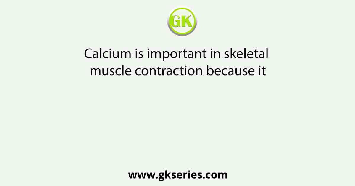 Calcium is important in skeletal muscle contraction because it