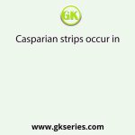 Casparian strips occur in