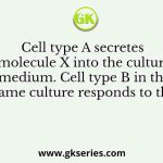 Cell type A secretes molecule X into the culture medium. Cell type B in the same culture responds to the
