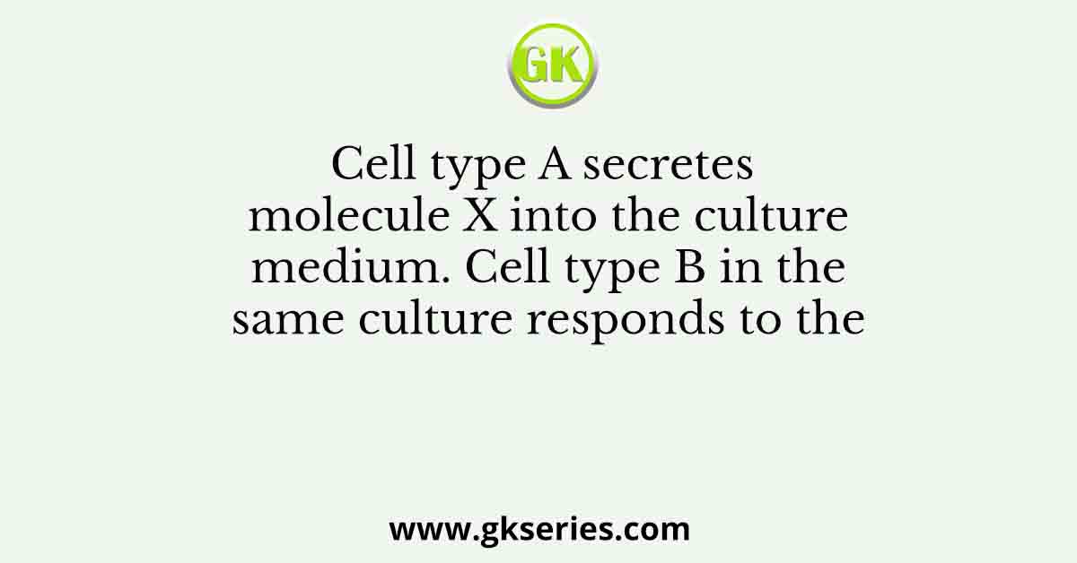 Cell type A secretes molecule X into the culture medium. Cell type B in the same culture responds to the