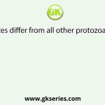 Ciliates differ from all other protozoans in