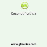 Coconut fruit is a
