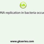 DNA replication in bacteria occurs
