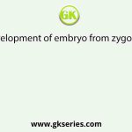 Development of embryo from zygote is