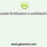 Double fertilization is exhibited by