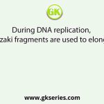 During DNA replication, Okazaki fragments are used to elongate