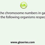 Find the chromosome numbers in gamete (n) of the following organisms respectively.
