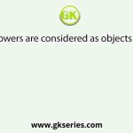 Flowers are considered as objects of