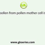 Formation of pollen from pollen mother cell is referred to as