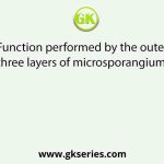 Function performed by the outer three layers of microsporangium?