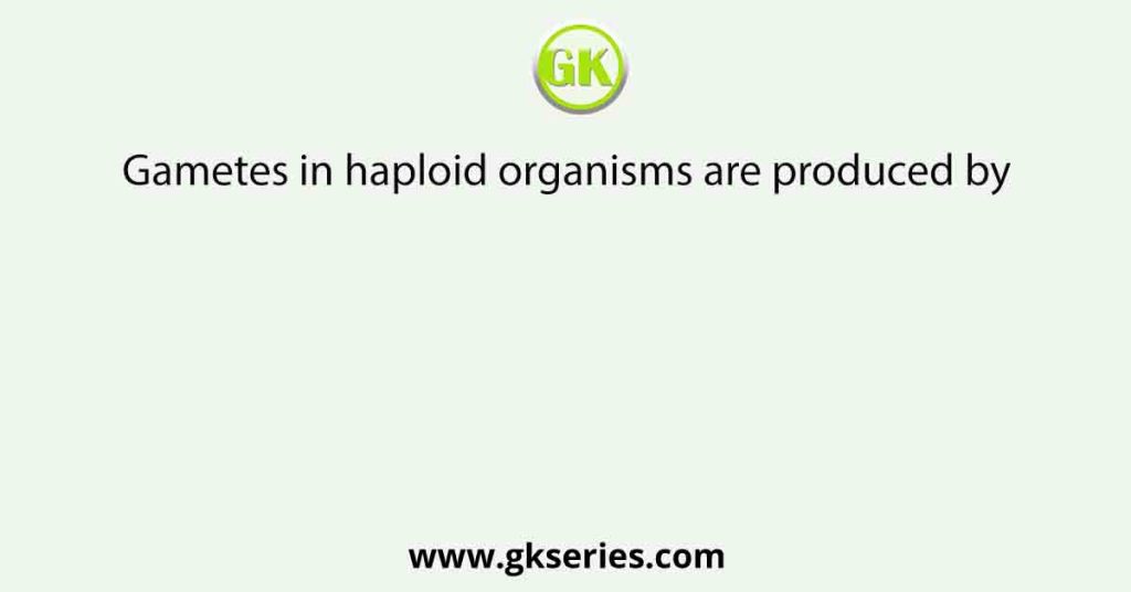 Gametes in haploid organisms are produced by