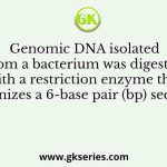 Genomic DNA isolated from a bacterium was digested with a restriction enzyme that recognizes a 6-base pair (bp) sequence