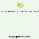 Homozygous purelines in cattle can be obtained by