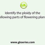 Identify the ploidy of the following parts of flowering plants.