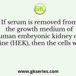 If serum is removed from the growth medium of human embryonic kidney cell line (HEK), then the cells will