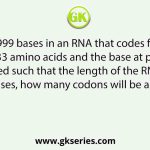 If there are 999 bases in an RNA that codes for a protein with 333 amino acids and the base at position