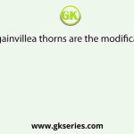 In Bougainvillea thorns are the modification of