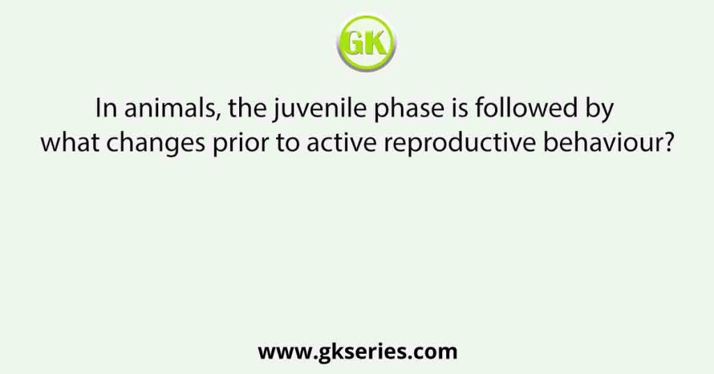 In animals, the juvenile phase is followed by what changes prior to active reproductive behaviour?