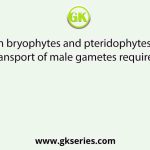 In bryophytes and pteridophytes, transport of male gametes requires: