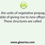 In plants, the units of vegetative propagation are capable of giving rise to new offspring. These structures are called