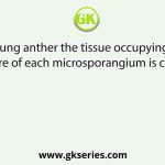 In young anther the tissue occupying the centre of each microsporangium is called